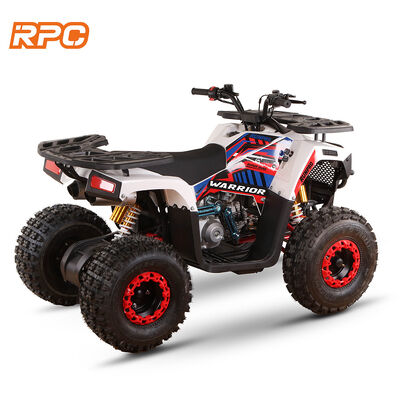 110cc 125cc 150cc 4-takt gas aangedreven kids quad bike ATV voor automatische transmissie