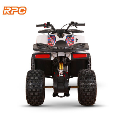 110cc 125cc 150cc 4-takt gas aangedreven kids quad bike ATV voor automatische transmissie