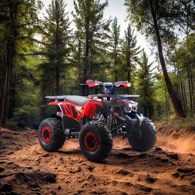 125cc kinder ATV met automatische versnellingsbak en niet-uitgerust verschil slot