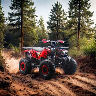 125cc ATV voor kinderen RunPro 2024 Electric Start Farm Quad Bike Chain Drive CE Automatic