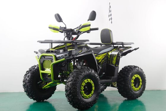 125cc 2WD gas aangedreven ATV quad voor volwassenen en kinderen RUNPRO Direct 2WD Driving Type