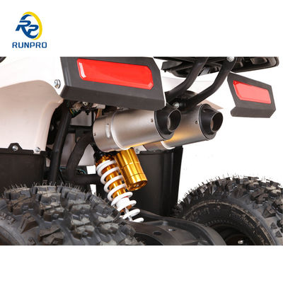 110cc Sirus 125cc ATV Quad Bike met nuttige ladingcapaciteit 100-200kg RUNPRO Professional 2024