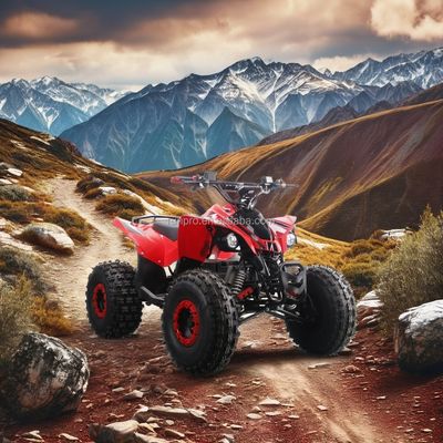 Electric Kids ATV CE gecertificeerde quadbike met 1500W motor en 48V12AH loodzuurbatterij