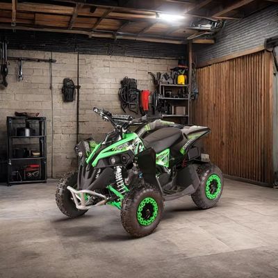 Maximale snelheid 40km/h 1180*670*710MM RUNPRO 49cc Electric en Pull Start ATV Quad Bike voor kinderen MINI ATV