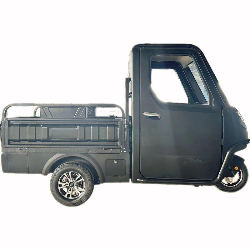 Optioneel 1000/1200/2000/3000W elektrische driewielers voor familie 3-wiel E-bike en Pedicab