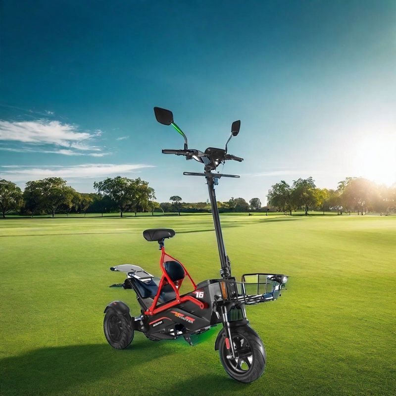 Elektrische scooter met dubbele borstelloze motoren en stalen frame 48V500W*2 lithiumbatterie