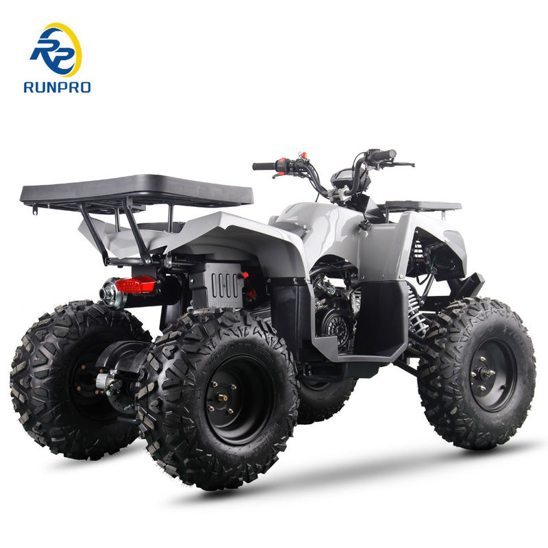 Gas/Diesel Beach Buggy Keten Drive 4 Wheeler 4-Takt Vierwieler 200cc/300cc voor volwassenen