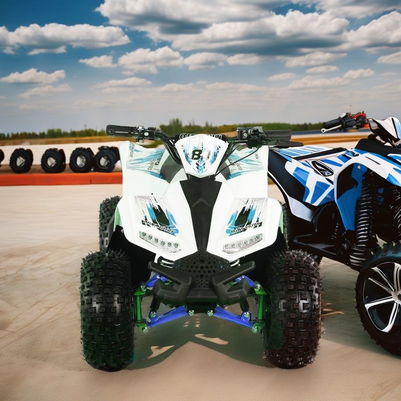 Kids Electric ATV Quad Bike met wielbasis 600-1000mm en Overige grootte 1250x760x800mm