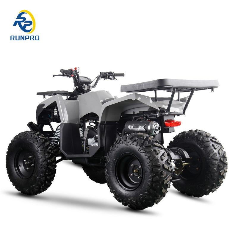 200cc 10 inch Steel Wheel 2WD ATV Off Road Vier wielen Motorfiets UTV Farm Motor Quad Bike