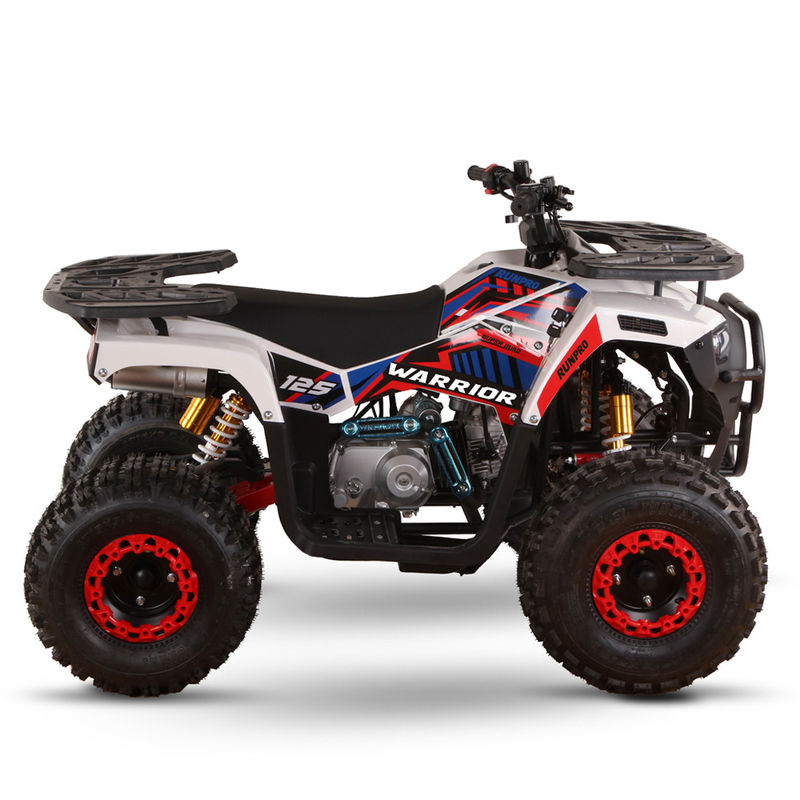 All-terrain 110cc 125cc Quad Bikes voor volwassenen Max Loading 150kgs Chain Drive Transmission