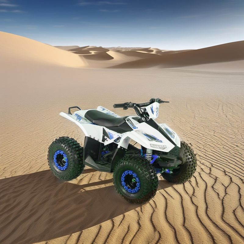 48V12AH LED-ZERBATTERIE RUNPRO 1200W Schacht aandrijving Motor Elektrische 4-wieler ATV voor de landbouw