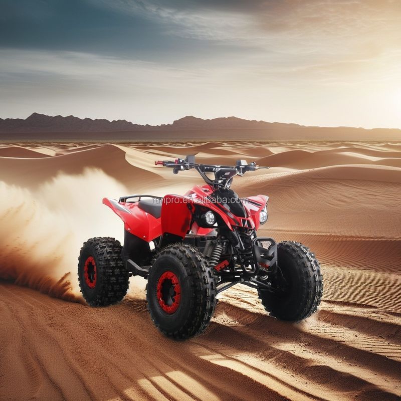 Electric Kids ATV CE gecertificeerde quadbike met 1500W motor en 48V12AH loodzuurbatterij